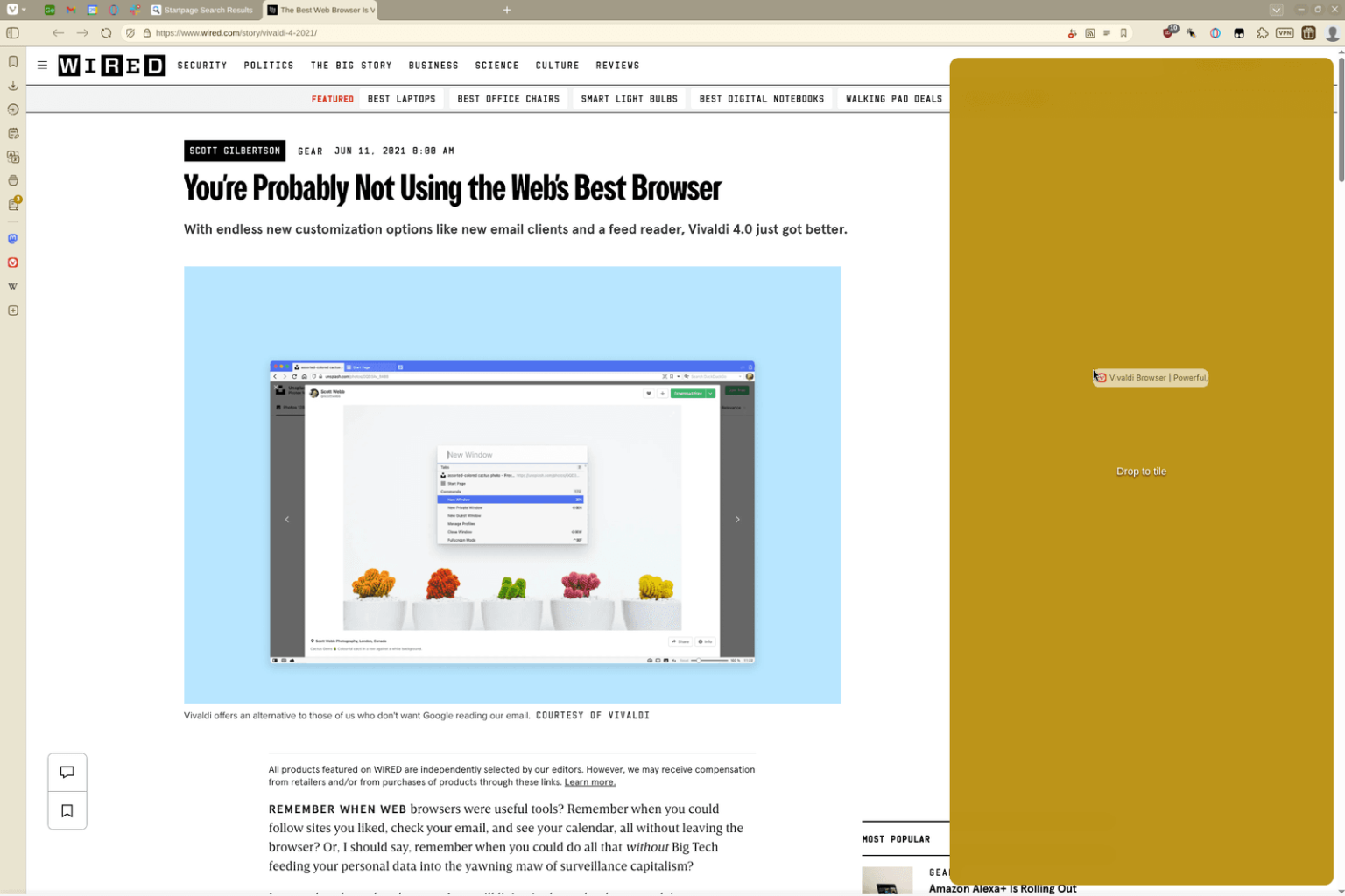 Image may contain File Webpage Page Text and Plant