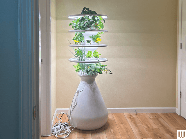 Best Mother’s Day Deals on Mom-Approved Gifts (2026) Image may contain: Plant, Potted Plant, Floor, Flooring, Indoors, Interior Design, Flower, Flower Arrangement, and Jar