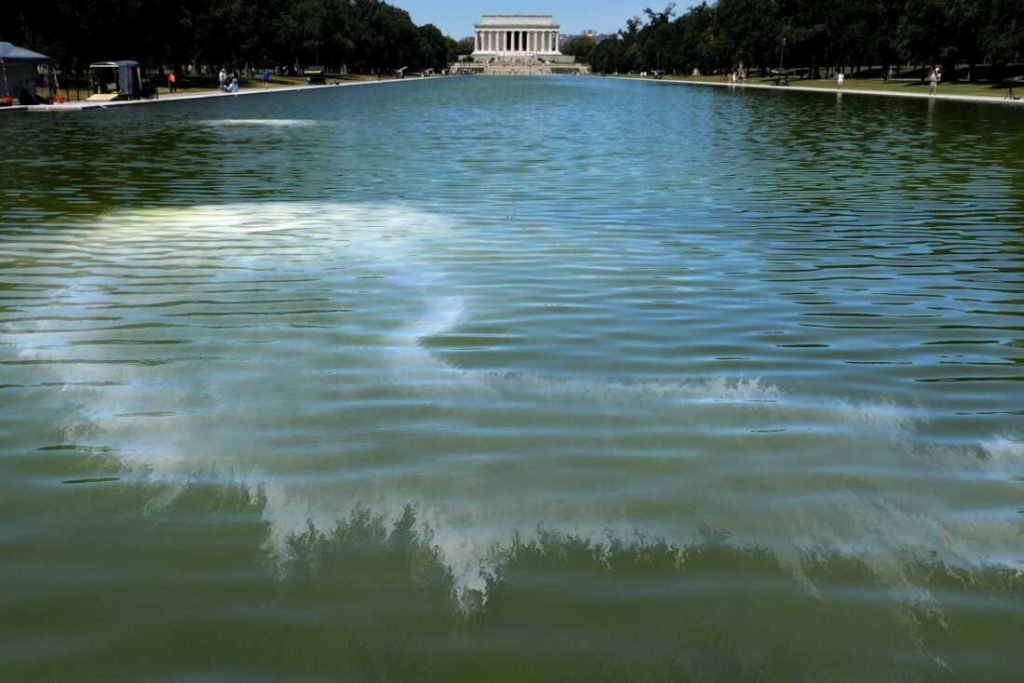 Algae turns reflecting pool green after repainting. Here’s why : NPR Workers are shown with long poles dipping into the water of the Reflecting Pool. The water is in the foreground of the photo, and it is a deep green color. The Lincoln Memorial is seen in the distance.