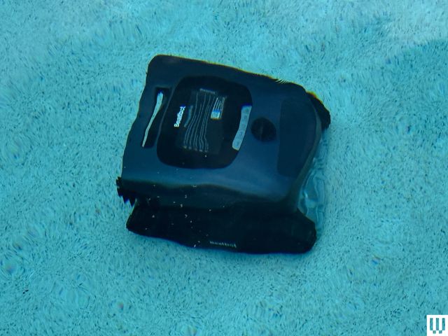 The Best Pool Accessories to Upgrade Your Summer (2026) Image may contain: Electronics, Phone, and Mobile Phone